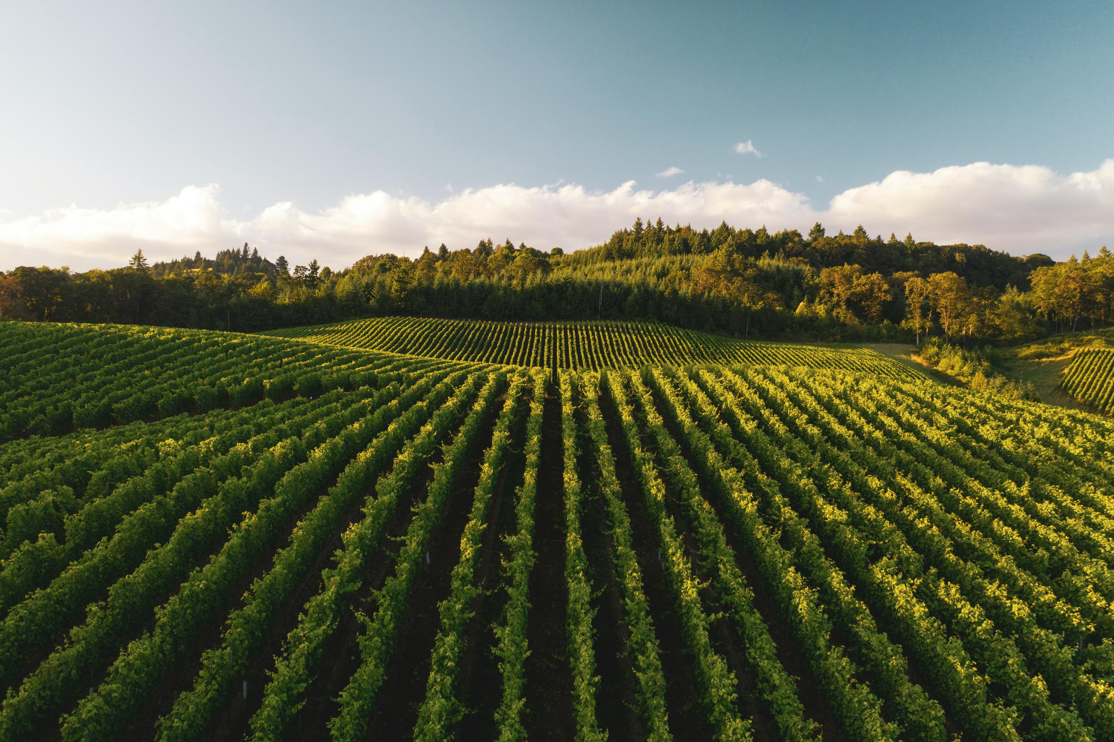 Food & Agriculture