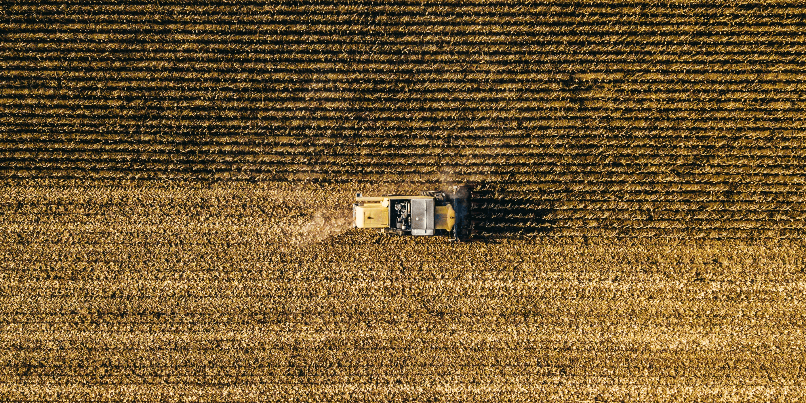 Food & Agriculture